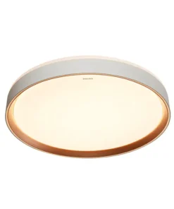 牆控調光切換4種場景模式_SceneSwitch_Wall_Control_4_Lighting_Modes